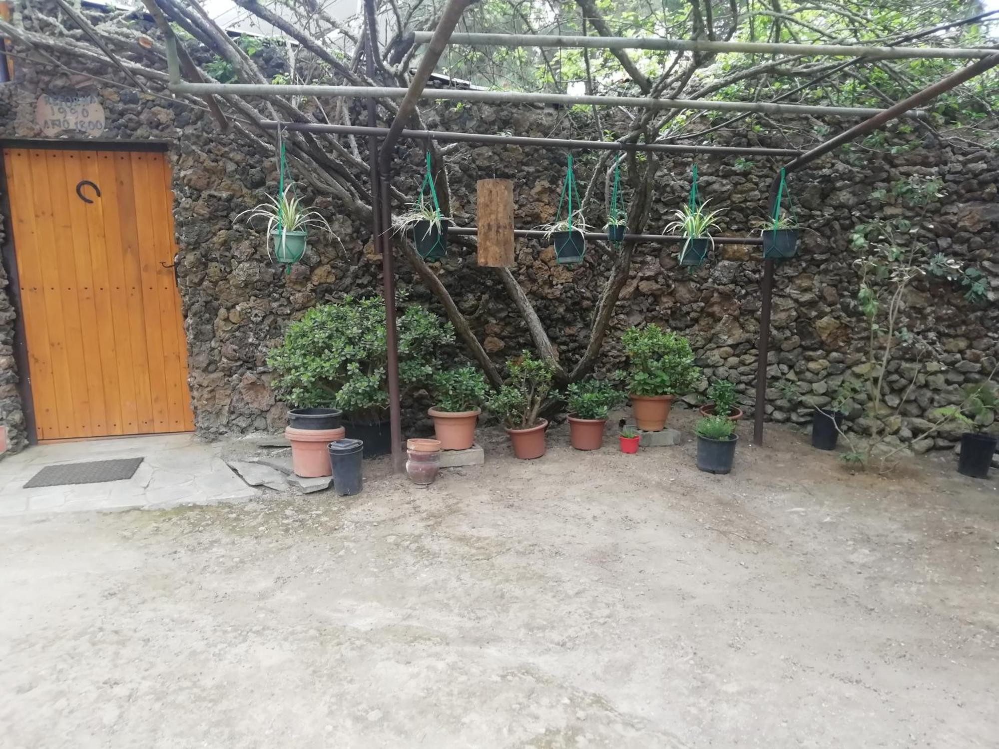 Casa Ecologica, Autosuficiente En Lomo Blanco, Dentro De Casa Rodeada De Naturaleza Kwatera prywatna San Juan de la Rambla